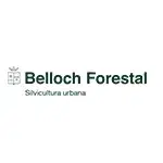 belloch-forestal