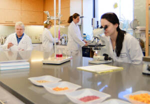 bariatrix nutrition researchers