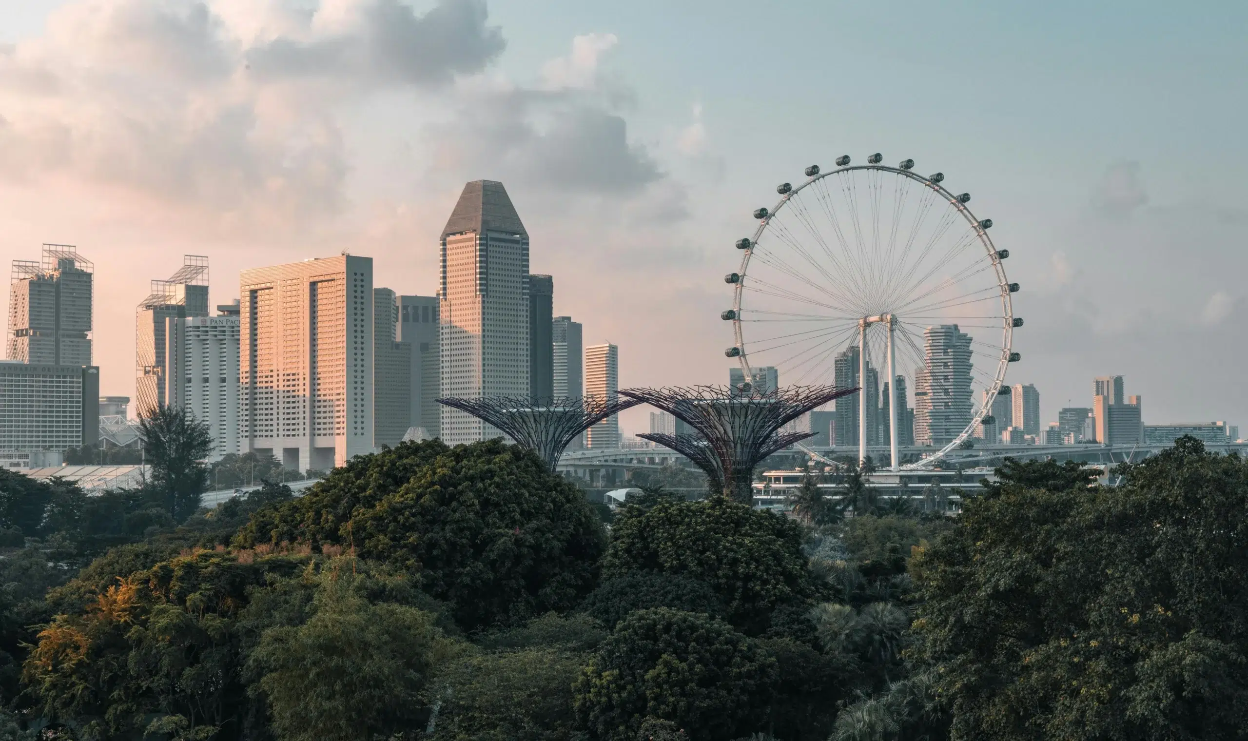 The Singapore skyline featuring the Singapore Flyer and Gardens by the Bay, illustrating the USD 1.72 billion local ERP software market.