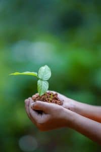 Maintenance and Environmental Protection